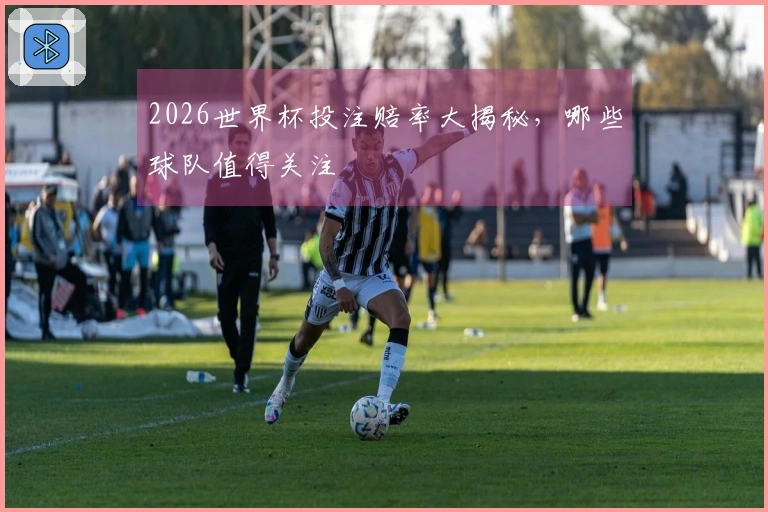 2026世界杯投注赔率大揭秘，哪些球队值得关注
