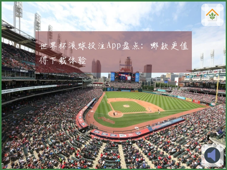 世界杯滚球投注App盘点：哪款更值得下载体验
