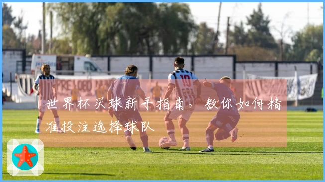 世界杯买球新手指南，教你如何精准投注选择球队