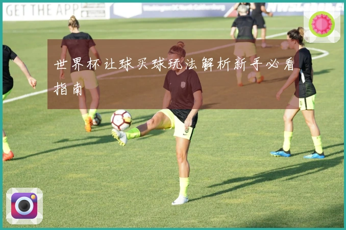 世界杯让球买球玩法解析新手必看指南
