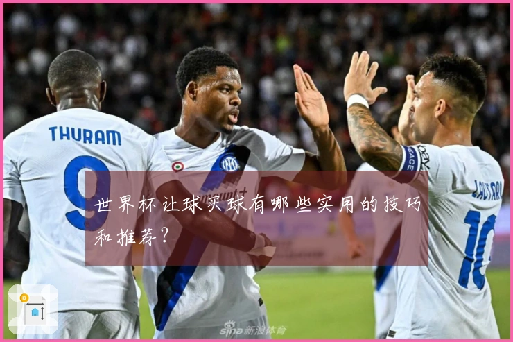 世界杯让球买球有哪些实用的技巧和推荐？