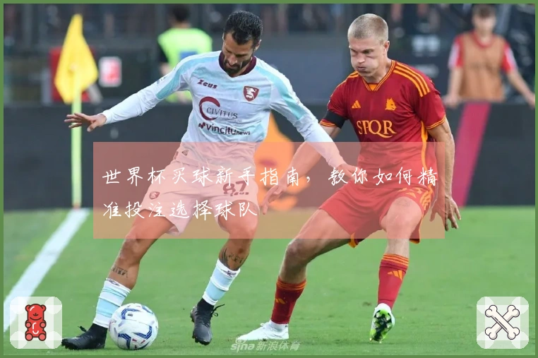 世界杯买球新手指南，教你如何精准投注选择球队