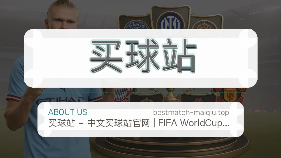 关于 买球站 团队与服务